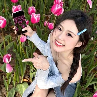 破产姐妹第四季